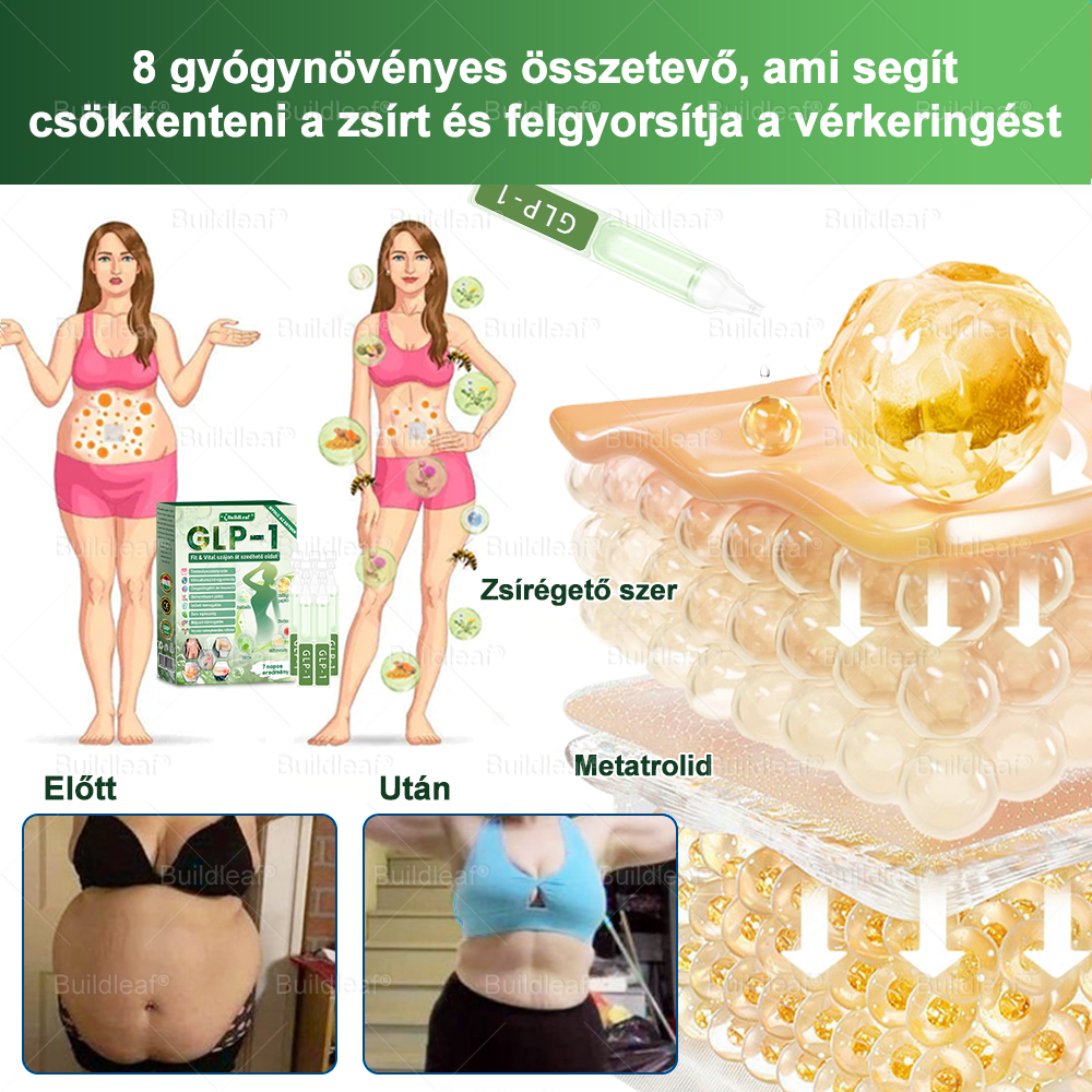 đ Klinikai kutatĂĄsokkal igazolt | A BuildLeafÂź Berberine GLP-1 Pro SĂșlycsökkentĆ SzĂĄjon ĂĄt szedhetĆ oldat segĂthet a makacs sĂșlytöbblet, anyagcsere- Ă©s energiaproblĂ©mĂĄk kezelĂ©sĂ©ben, tĂĄmogatva a jobb közĂ©rzetet Ă©s vitalitĂĄst
